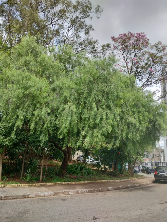 Casa, 2 quartos - Foto 23